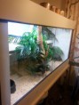 /album/unsere-terrarien/handy-142-jpg/